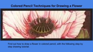Colored Pencil Techniques for Drawing a Flower
Find out how to draw a flower in colored pencil, with the following step by
step drawing tutorial.
 