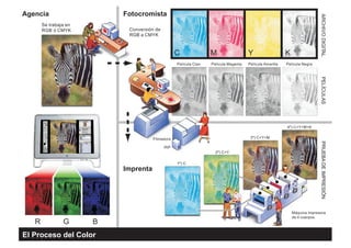 Conversión de
RGB a CMYK
RIP
Filmadora
Se trabaja en
RGB ó CMYK
Película Cian
1º) C
2º) C+Y
3º) C+Y+M
4º) C+Y+M+K
Película Magenta Película Amarilla Película Negra
Máquina impresora
de 4 cuerpos.
R
C M Y K
G B
Agencia Fotocromista
ARCHIVODIGITALPELÍCULASPRUEBADEIMPRESIÓN
Imprenta
El Proceso del Color
 
