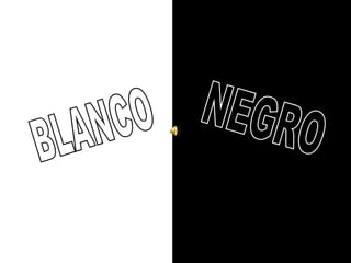 BLANCO NEGRO