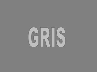 GRIS