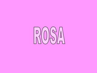 ROSA