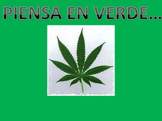 PIENSA EN VERDE…