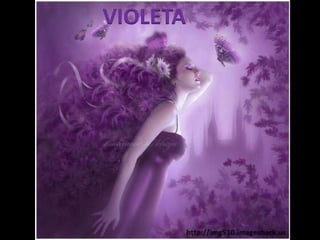 VIOLETA