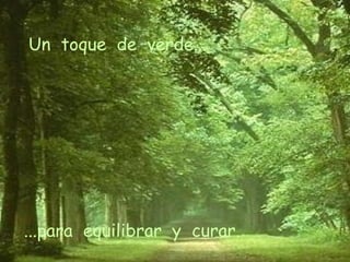 Un toque de verde... ...para equilibrar y curar.