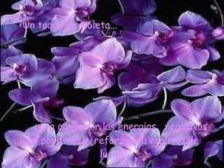 Un toque de violeta... ...para convertir las energias negativas en positivas y reforzar tu espíritu de lucha.