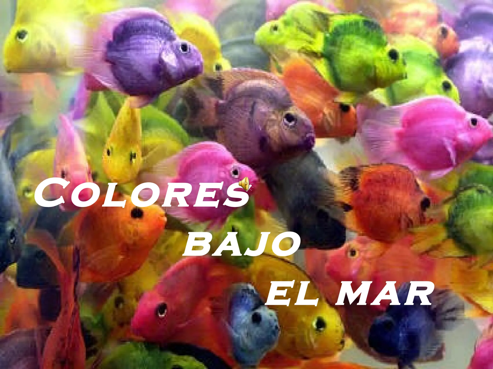 Colores bajo el mar