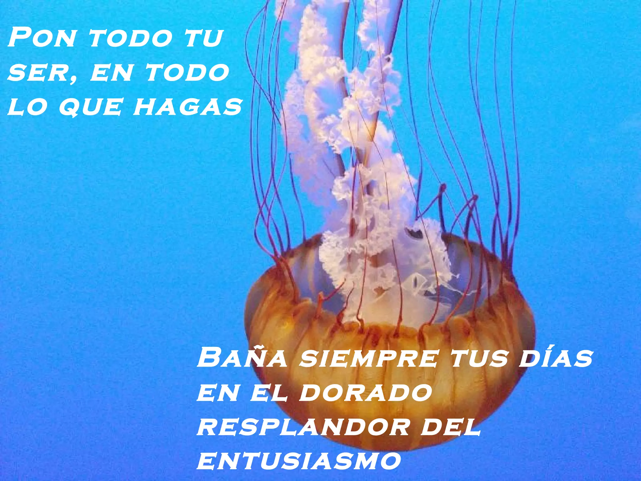 Pon todo tu ser, en todo lo que hagas Baña siempre tus días en el dorado resplandor del entusiasmo