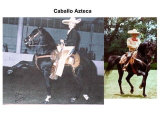 Caballo Azteca 