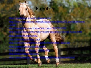 Fuentes:
• http://modelismo-ecuestre.blogspot.mx/
• http://www.mascotanet.com/caballos/generalidades/03_particularidades
_1.htm
• http://www.flickr.com/photos/spicyrogue/3237914320/
• http://www.theequestrianreserve.com/equestrian-reserve-horses.html
• http://www.dkimages.com/
• http://www.theequinest.com/
• http://commons.wikimedia.org/wiki/File:Reverse_blaze.jpg
• http://www.modelhorsegallery.info/
• http://giftsstore.orietals.com/index.php
• http://www.homestead.com/
• http://www.theequinest.com/colors/white-patterns/appaloosa/
 