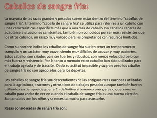 La mayoría de las razas grandes y pesadas suelen estar dentro del término "caballos de
sangre fría". El término "caballo de sangre fría" se utiliza para referirse a un caballo con
unas características específicas más que a una raza de caballo,son caballos capaces de
adaptarse a situaciones cambiantes, también son conocidos por ser más resistentes que
los otros caballos, un rasgo muy valioso para los propietarios con recursos limitados.
Como su nombre indica los caballos de sangre fría suelen tener un temperamento
tranquilo y un carácter muy suave, siendo muy difíciles de asustar y muy pacientes.
Estos caballos son criados para ser fuertes y robustos, con menos velocidad pero con
más fuerza y resistencia. Por lo tanto a menudo estos caballos han sido utilizados para
el trabajo agrícola y de tracción. Dado su actitud impasible y su gran peso los caballos
de sangre fría no son apropiados para los deportes.
Los caballos de sangre fría son descendientes de las antiguas razas europeas utilizadas
para la agricultura, tractores y otros tipos de trabajos pesados aunque también fueron
utilizados en tiempos de guerra.En definitiva si tenemos una granja o queremos un
caballo para andar de vez en cuando el caballo de sangre fría es una buena elección.
Son amables con los niños y se necesita mucho para asustarlos.
Razas consideradas de sangre fría son:
 