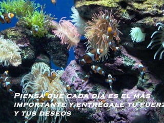 Piensa que cada día es el más importante y entrégale tu fuerza y tus deseos   