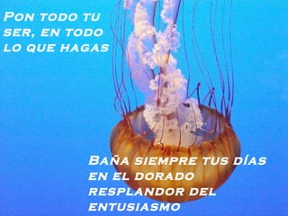 Pon todo tu ser, en todo lo que hagas   Baña siempre tus días en el dorado resplandor del entusiasmo   