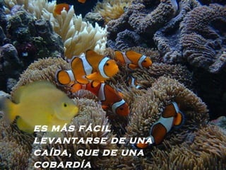 es más fácil levantarse de una caída, que de una cobardía   