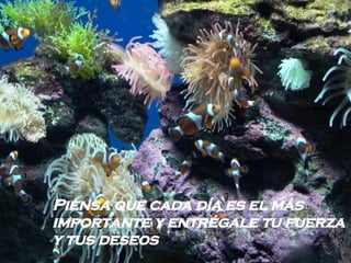 Piensa que cada día es el más importante y entrégale tu fuerza y tus deseos   