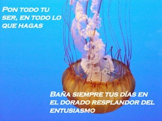 Pon todo tu ser, en todo lo que hagas   Baña siempre tus días en el dorado resplandor del entusiasmo   