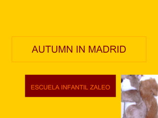 AUTUMN IN MADRID ESCUELA INFANTIL ZALEO 