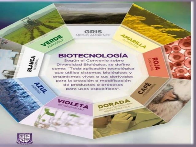 Colores de la biotecnologia