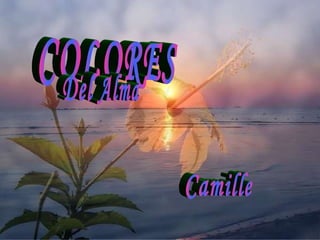 COLORES Del Alma Camille 