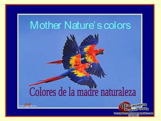 Mother Nature’ s colors




    AVI
avior45@gmail.com
 