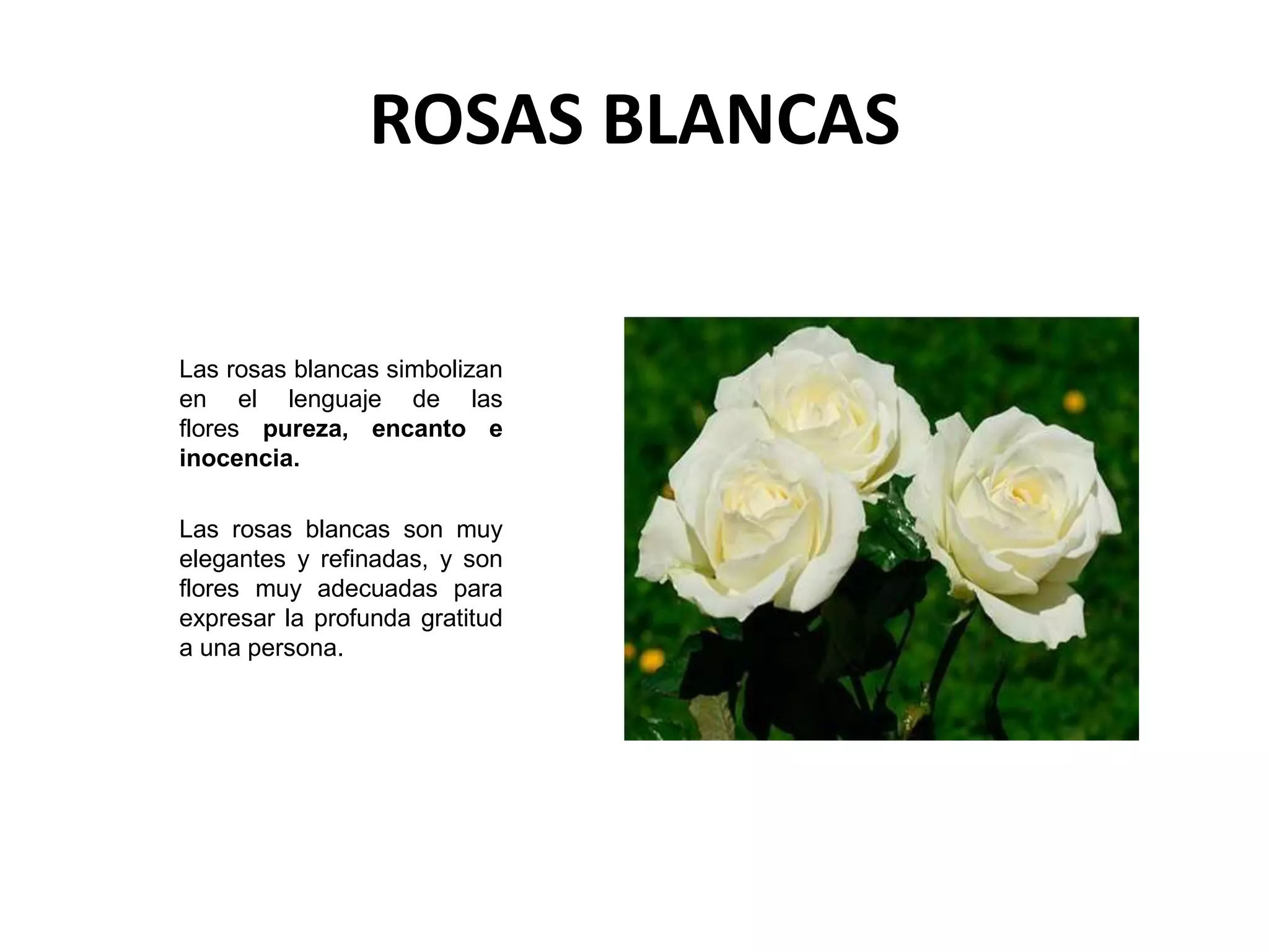 Colores de las rosas | PPTX | Flower Shopping | Shopping