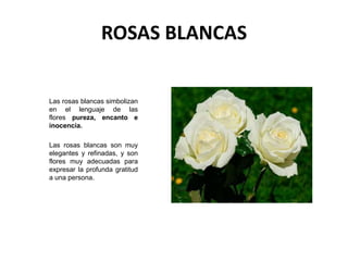 ROSAS BLANCAS
Las rosas blancas simbolizan
en el lenguaje de las
flores pureza, encanto e
inocencia.
Las rosas blancas son...