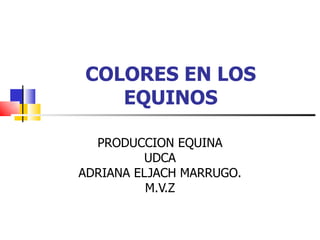 COLORES EN LOS EQUINOS PRODUCCION EQUINA UDCA ADRIANA ELJACH MARRUGO. M.V.Z 