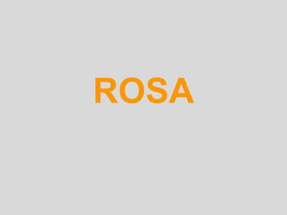 ROSA
 