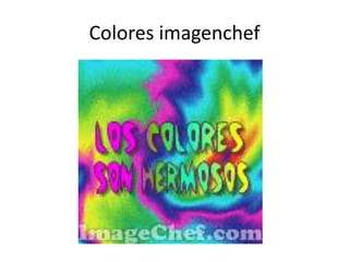 Colores imagenchef
 