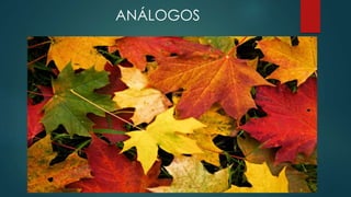 ANÁLOGOS