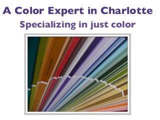 A Color Expert in Charlotte
Specializing in just color

 