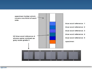 Fastnesses Structure FASTNESSES BEHAVIOUR OF TEXTILE MATERIAL | PPT