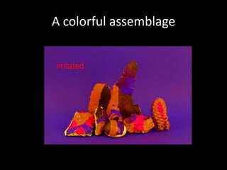 A colorful assemblage 