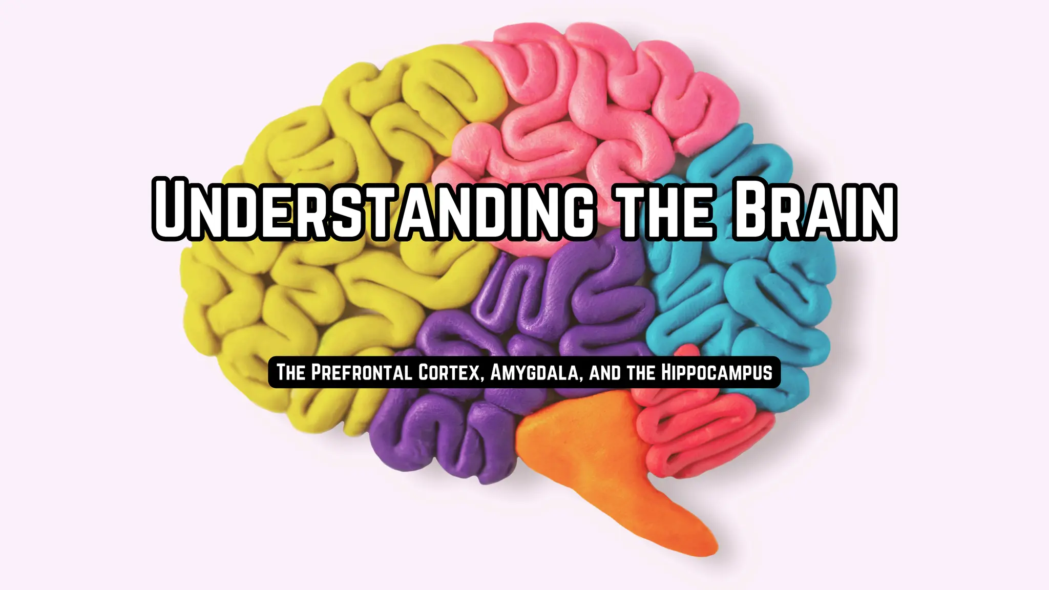 Colorful Bold Science Brain Presentation.pdf