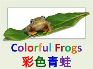 Colorful Frogs
  彩色青蛙
 