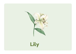 Lilac Flash Card.pdf Colorful Illustrative Type of Flowers Flashcard.pdf