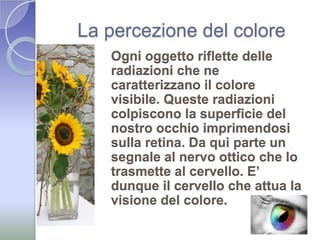 La percezione del coloreOgni oggetto riflette delle radiazioni che ne caratterizzano il colore visibile. Queste radiazioni colpiscono la superficie del nostro occhio imprimendosi sulla retina. Da qui parte un segnale al nervo ottico che lo trasmette al cervello. E’ dunque il cervello che attua la visione del colore. 