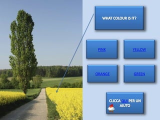 PINK          YELLOW




ORANGE         GREEN




         QUI
 
