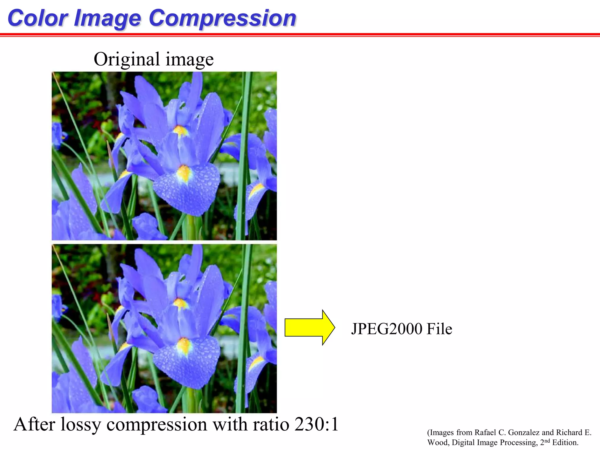 (Images from Rafael C. Gonzalez and Richard E.
Wood, Digital Image Processing, 2nd Edition.
Color Image Compression
JPEG2000 File
Original image
After lossy compression with ratio 230:1
 