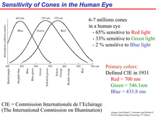 (Images from Rafael C. Gonzalez and Richard E.
Wood, Digital Image Processing, 2nd Edition.
Sensitivity of Cones in the Human Eye
6-7 millions cones
in a human eye
- 65% sensitive to Red light
- 33% sensitive to Green light
- 2 % sensitive to Blue light
Primary colors:
Defined CIE in 1931
Red = 700 nm
Green = 546.1nm
Blue = 435.8 nm
CIE = Commission Internationale de l’Eclairage
(The International Commission on Illumination)
 