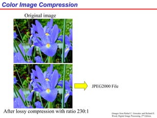 (Images from Rafael C. Gonzalez and Richard E.
Wood, Digital Image Processing, 2nd Edition.
Color Image Compression
JPEG2000 File
Original image
After lossy compression with ratio 230:1
 