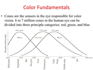 Color image processing | PPTX