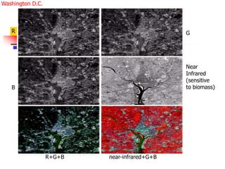 R G
B
Near
Infrared
(sensitive
to biomass)
R+G+B near-infrared+G+B
Washington D.C.
 