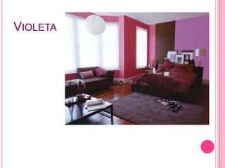 Violeta