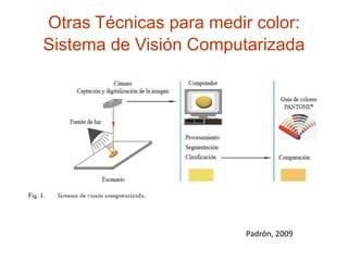 Otras Técnicas para medir color:
Sistema de Visión Computarizada
Padrón, 2009
 