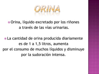  Orina,líquido excretado por los riñones
        a través de las vías urinarias.

 La  cantidad de orina producida diariamente
         es de 1 a 1,5 litros, aumenta
por el consumo de muchos líquidos y disminuye
           por la sudoración intensa.
 