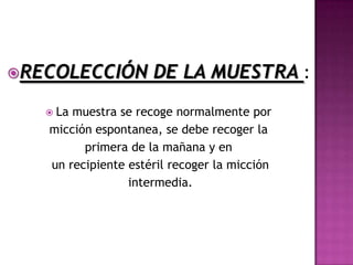 RECOLECCIÓN         DE LA MUESTRA :
    Lamuestra se recoge normalmente por
   micción espontanea, se debe recoger la
         primera de la mañana y en
   un recipiente estéril recoger la micción
                 intermedia.
 