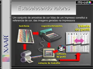 Estabelecendo valoresEstabelecendo valores
● Um conjunto de amostras de cor lidas de um impresso constitui a
referencia de cor, das imagens geradas na impressora
 