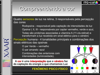 Compreendendo a corCompreendendo a cor
● Quatro sensoressensores de luz na retina, 3 responsáveis pela percepção
das cores
● Rodopsina - responsável pela captação de intensidades de luz
● Opsina I, II, III - responsáveis por captar vermelho, verde e azul,
● Todas são proteínas associadas a vitamina A (11-cis-retinal) e
transformam a luz recebida em sinal elétrico para o cérebro
●
PercepçãoPercepção humana - 4 tonalidades principais e combinações dos
sinais elétricos das opsinas
● O par Verde – vermelho
● O par amarelo -azul
● Combinações das anteriores com
intensidades (luminosidade).
A corcor é uma interpretaçãointerpretação que o cérebrocérebro faz
da captação da energia a que chamamos Luz
FENÔMENO PSICO-FÍSICOFENÔMENO PSICO-FÍSICO
 