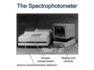 The Spectrophotometer
 