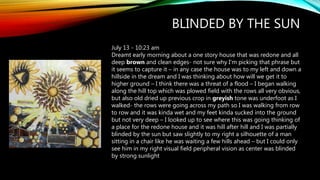 BLINDED BY THE SUN
July 13 - 10:23 am
Dreamt early morning about a one story house that was redone and all
deep brown and clean edges- not sure why I’m picking that phrase but
it seems to capture it – in any case the house was to my left and down a
hillside in the dream and I was thinking about how will we get it to
higher ground – I think there was a threat of a flood – I began walking
along the hill top which was plowed field with the rows all very obvious,
but also old dried up previous crop in greyish tone was underfoot as I
walked- the rows were going across my path so I was walking from row
to row and it was kinda wet and my feet kinda sucked into the ground
but not very deep – I looked up to see where this was going thinking of
a place for the redone house and it was hill after hill and I was partially
blinded by the sun but saw slightly to my right a silhouette of a man
sitting in a chair like he was waiting a few hills ahead – but I could only
see him in my right visual field peripheral vision as center was blinded
by strong sunlight
 
